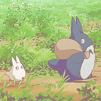 Studio Ghibli - Totoro
